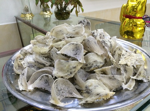 Hoàng Yến nguyên tổ