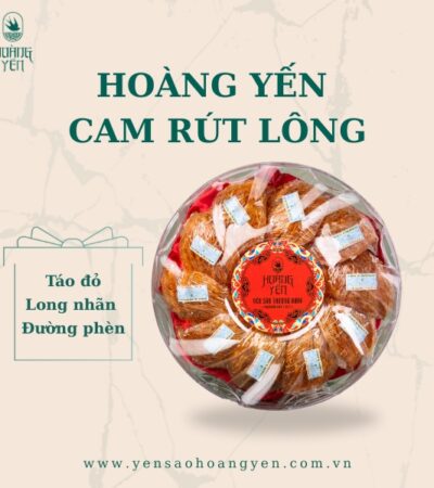 Hoàng Yến cam rút lông